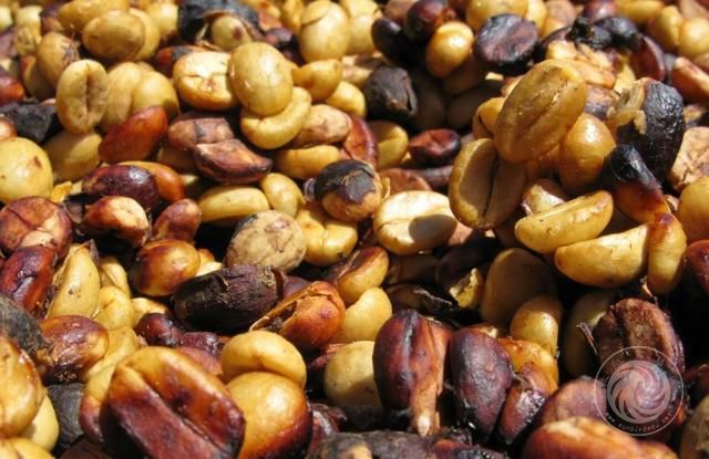 成都咖啡师培训学校